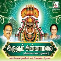 Arulum Annamalai S. P. Balasubramanyam,S. P. Sailaja Song Download Mp3
