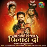 Aaj Mohe Bhangiya Pilayi Do Ritesh Pandey,Shilpi Raj Song Download Mp3