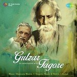 Main Ghoomta Hoon Gulzar,Shaan,Shreya Ghoshal Song Download Mp3