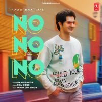 No No No Raag Bhatia Song Download Mp3