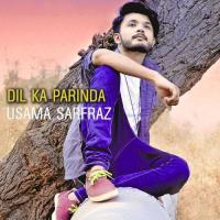 Dil Ka Parinda Usama Sarfraz Song Download Mp3