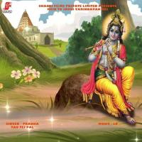 Mein To Jaugi Varindavan Mei Tau Tej Pal,Prabha Song Download Mp3