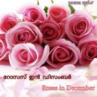Roses In December songs mp3