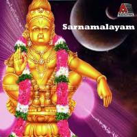 Saranamalayam songs mp3