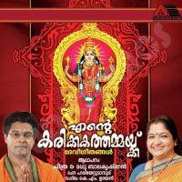 Amme Amrithavarshini Madhu Balakrishnan Song Download Mp3