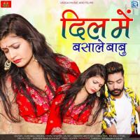 Dil Me Basale Babu Shambhu Meena,Vaishali Rajkour Song Download Mp3