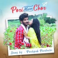 Pori Mann Chor Pushpak Pardeshi Song Download Mp3