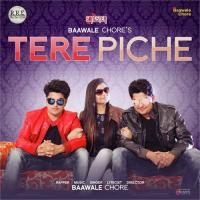Tere Piche Baawale Chore Song Download Mp3