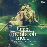 Tumhi Ho Mehboob Mere - Love Song Collection songs mp3