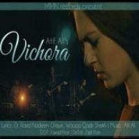 Vichora Atif Ali Song Download Mp3