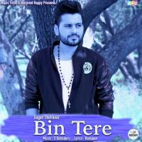 Bin Tere Gagan Shehbaaz Song Download Mp3