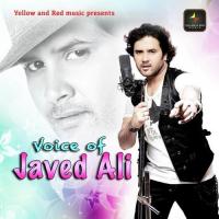 Tera Deewana Javed Ali Song Download Mp3
