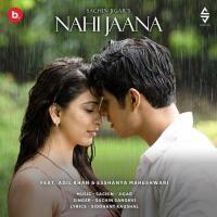 Nahi Jaana Sachin Sanghvi Song Download Mp3