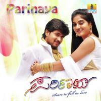 Parinaya (Theme Music) Instrumental Song Download Mp3