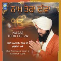 Naam Tera Deeva songs mp3