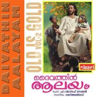 Daivathin Aalayam Fready Pallan,Mercy Mathew Song Download Mp3