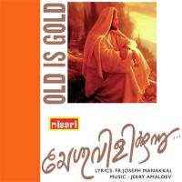 Yesunam Rakshanamam Fready Pallan,Mercy Mathew Song Download Mp3