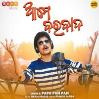 Ame Barbaad Papu Pam Pam Song Download Mp3