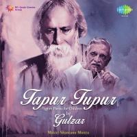 Tapur Tupur - Tagore Poems For Children By Gulzar songs mp3