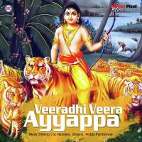 Ayyappa Swamy Jatara Pedda Pulli Eshwar Song Download Mp3