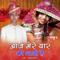 Chhori Koode Jaygadh Ler Matha Par Vishram Meena Song Download Mp3