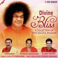 Divine Bliss songs mp3