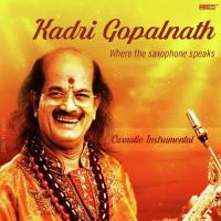 Kadri Gopalnath - Where the Saxophone Speaks songs mp3