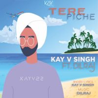Tere Piche Kay V Singh Song Download Mp3