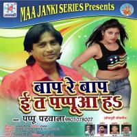 Jobna Par Godavade Bhauji Pappu Parwana Song Download Mp3