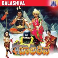Om Namah Shivaya - Shloka Nanditha Song Download Mp3