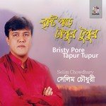 Bristy Pore Tapur Tupur songs mp3