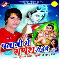 Palani Me Ganesh Roale songs mp3