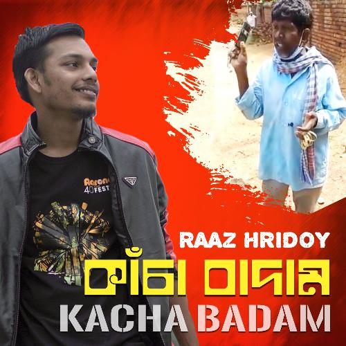 Kacha Badam Raaz Hridoy Song Download Mp3