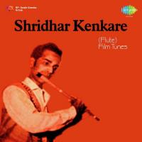 Hum Ko Tumhara Hi Aasra Shridhar Kenkara Song Download Mp3