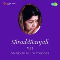 Shraddhanjali Vol. 2 My Tribute To The Immortals songs mp3