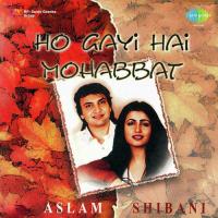 Ho Gayi Hai Mohabbat Aslam And Shibani songs mp3