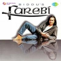 Farebi Biddu,Mahesh Song Download Mp3