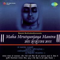 Commentary On Maha Mrutyunjaya Mantra Swami Sukhabodhananda Song Download Mp3
