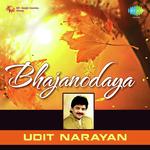 Bhagwan Tumhare Charnon Mein Udit Narayan Song Download Mp3