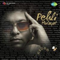 Ek Main Aur Ek Tu - Remix Esbee,Shraddha Pandit Song Download Mp3