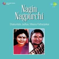 Mi Nagin Nagpurchi Shakuntala Jadhav Song Download Mp3