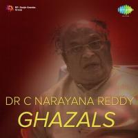 Evo Evo Baadhalu C. Narayana Reddy Song Download Mp3