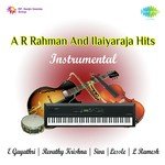 Instrumental - A R Rahman And Ilaiyaraja Hits songs mp3