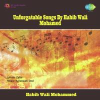 Unforgattable Songs By Habib Wali Mohamed songs mp3
