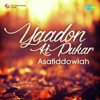 Tum Bhulaye Na Gaye Asafuddowlah Song Download Mp3