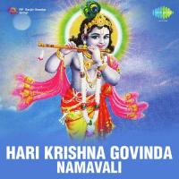 Hari Krishna Govinda - Namavali Pithukuli Murugadas Song Download Mp3