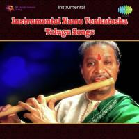 Instrumental Namo Venkatesha Telugu Songs songs mp3