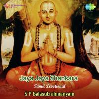 Jagaguru Sri Jayendra Saraswathi Swamigal Arulum Jaya Jaya Shankara Pt. 1 S. P. Balasubrahmanyam Song Download Mp3