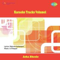 Karaoke Instrumental Vol. 1 songs mp3