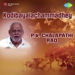 Kaasiki Pothunte P.V. Chalapathi Rao Song Download Mp3
